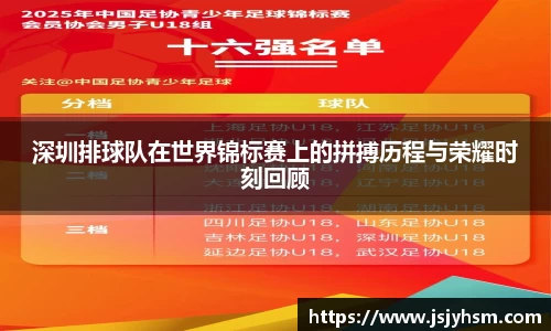 深圳排球队在世界锦标赛上的拼搏历程与荣耀时刻回顾